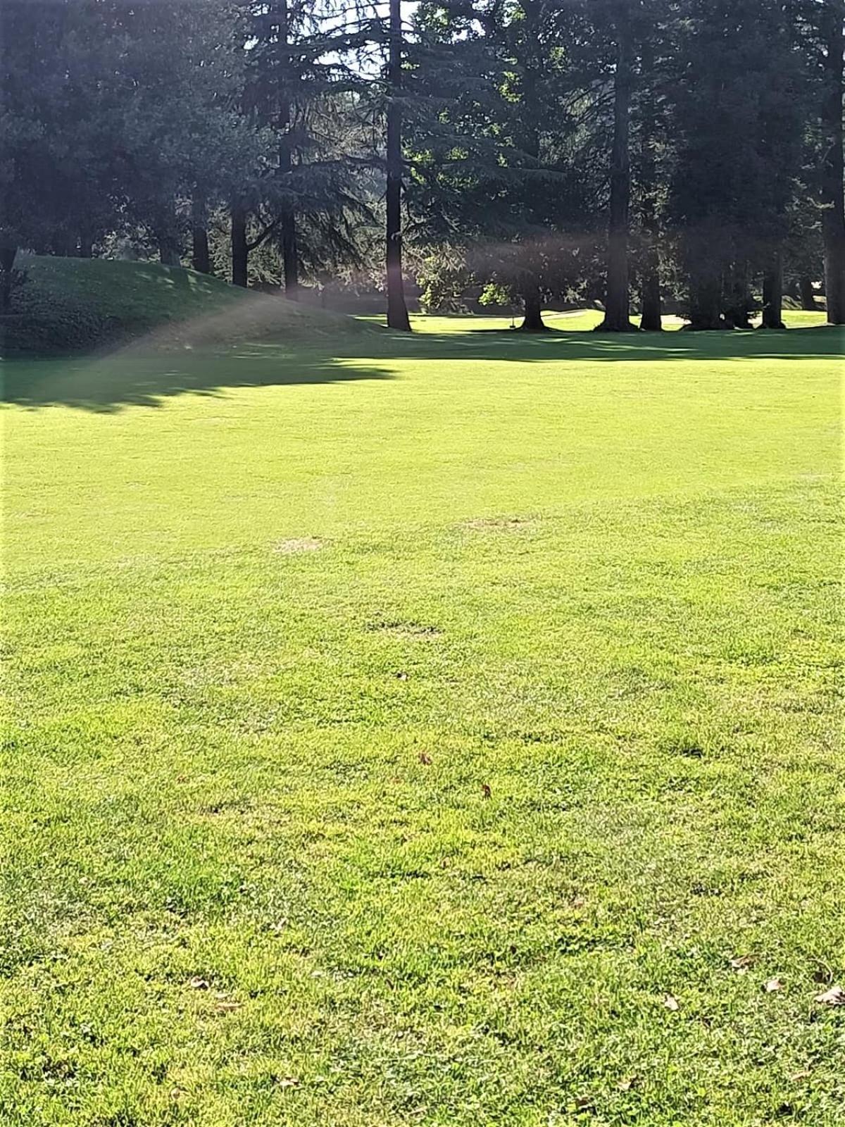 Apartamento Fronte Del Golf Rapallo Exterior foto
