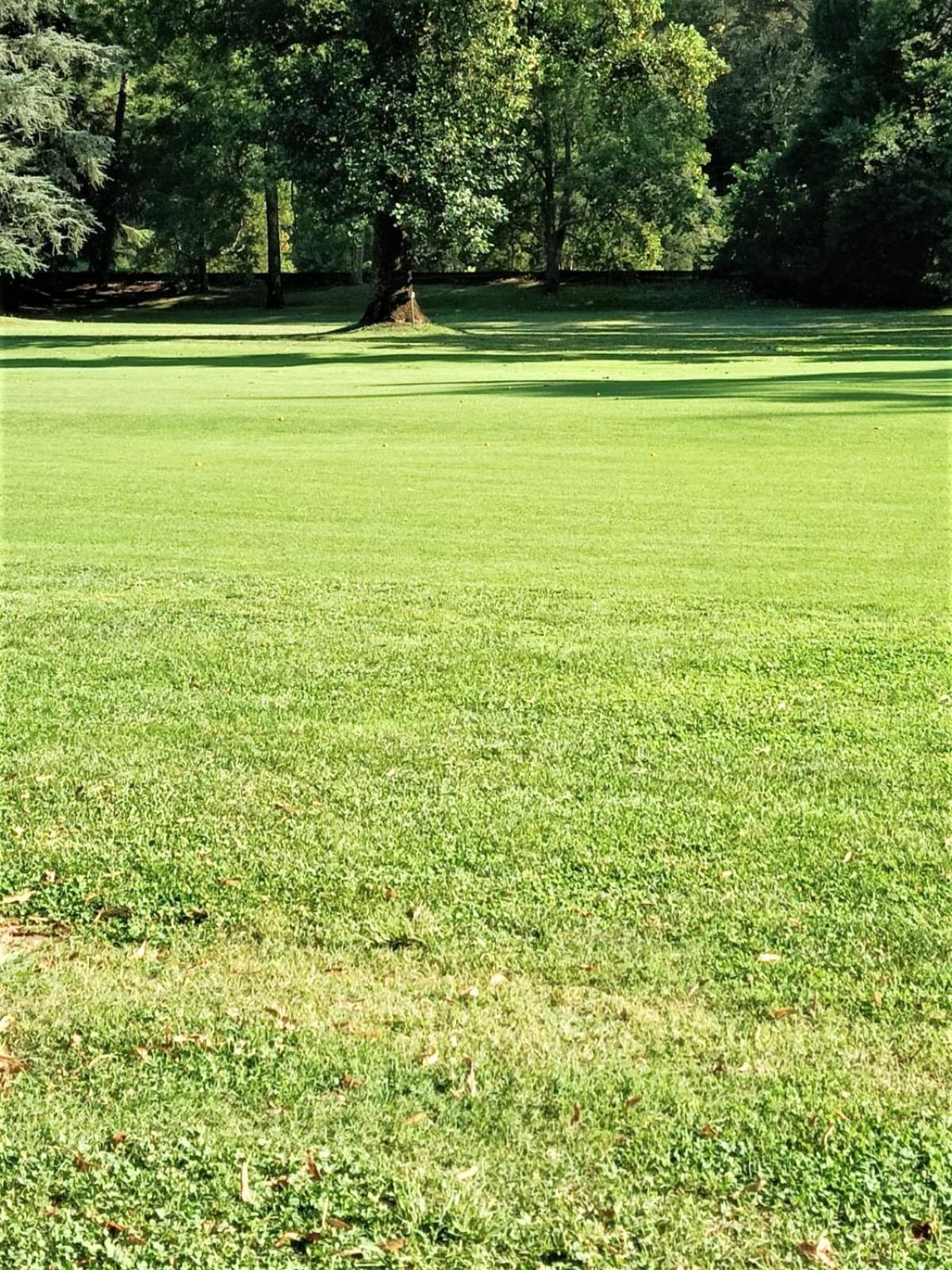 Apartamento Fronte Del Golf Rapallo Exterior foto